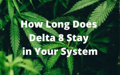 How Long Does Delta 8 Stay in Your System