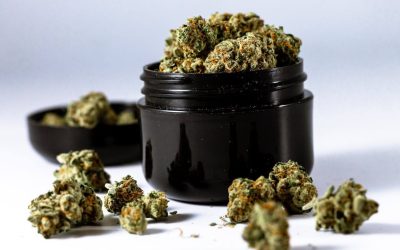 Best high-THCA strains for experienced users