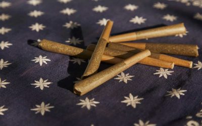 True classic pre-rolls: Pure taste and timeless quality