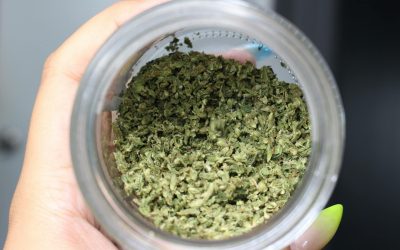 The quick guide on how to grind weed for a pre-roll