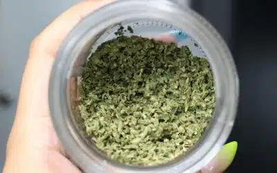 The quick guide on how to grind weed for a pre-roll