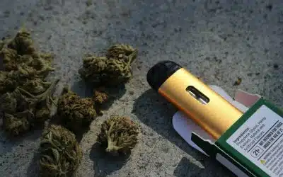 Disposable vapes vs. Cartridges for weed
