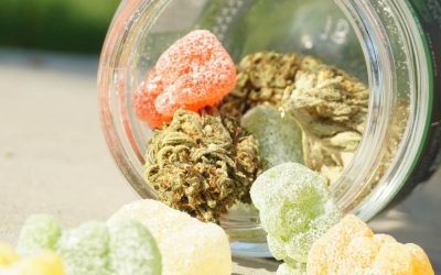 My weed gummies melted – Are they still edible?