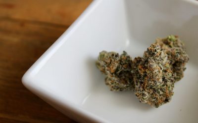 Does weed increase your sense of taste or make a hash of it?